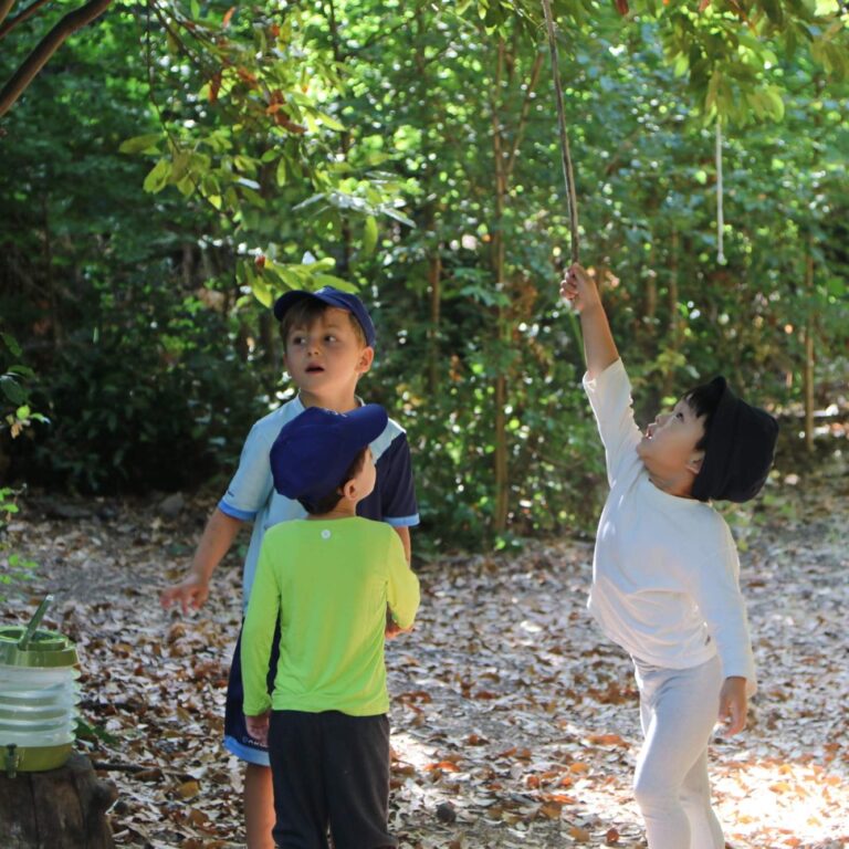 Children exploring the forest