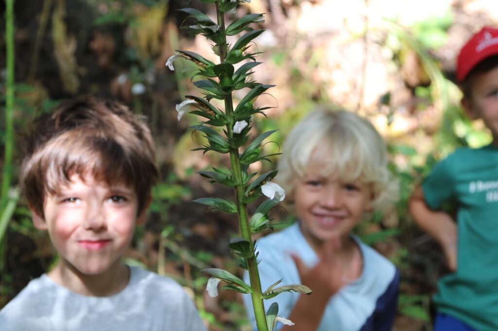 Children learning outdoors in the forest