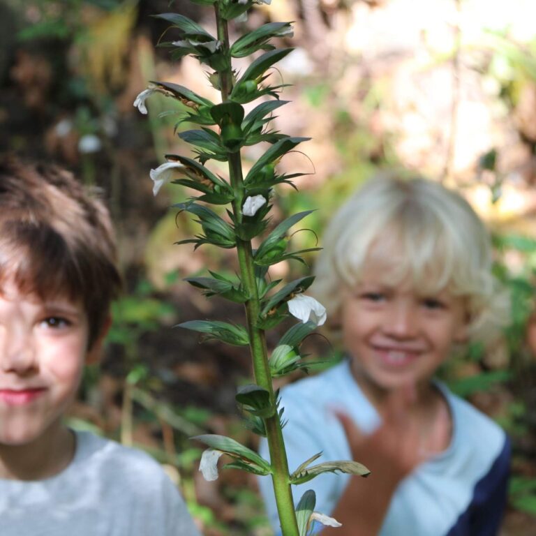 Children learning outdoors in the forest